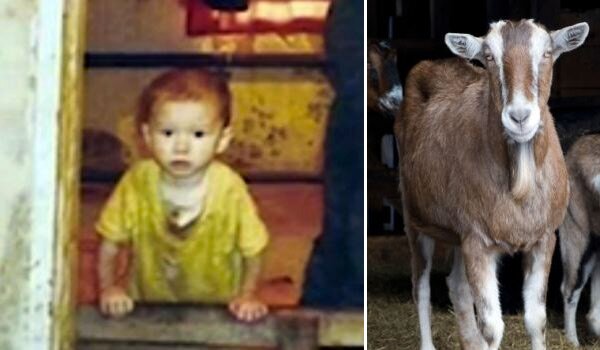 enfants eleves par animaux