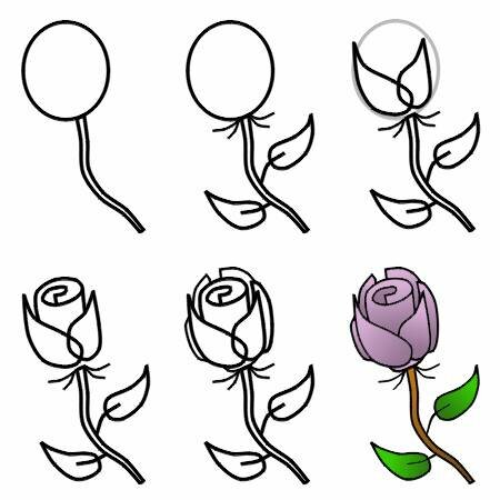 La rose en dessin