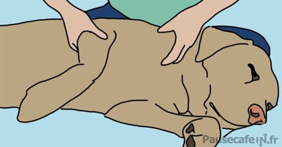 Dessin reprÃ©sentant un maÃ®tre qui masse son chien