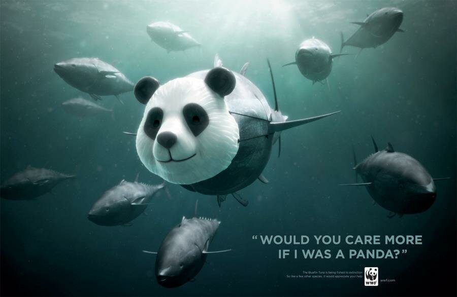 une baleine avec un tête de panda