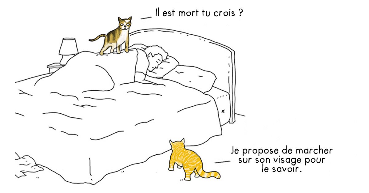 Si les animaux pouvaient parler notre langue voici ce q...