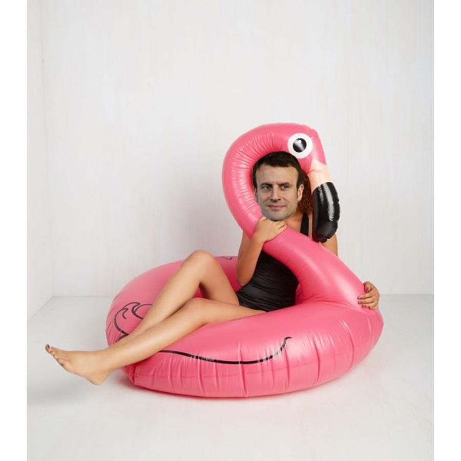 bouee flamant rose macron