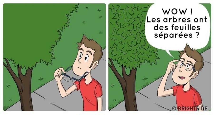 arbre feuilles lunettes