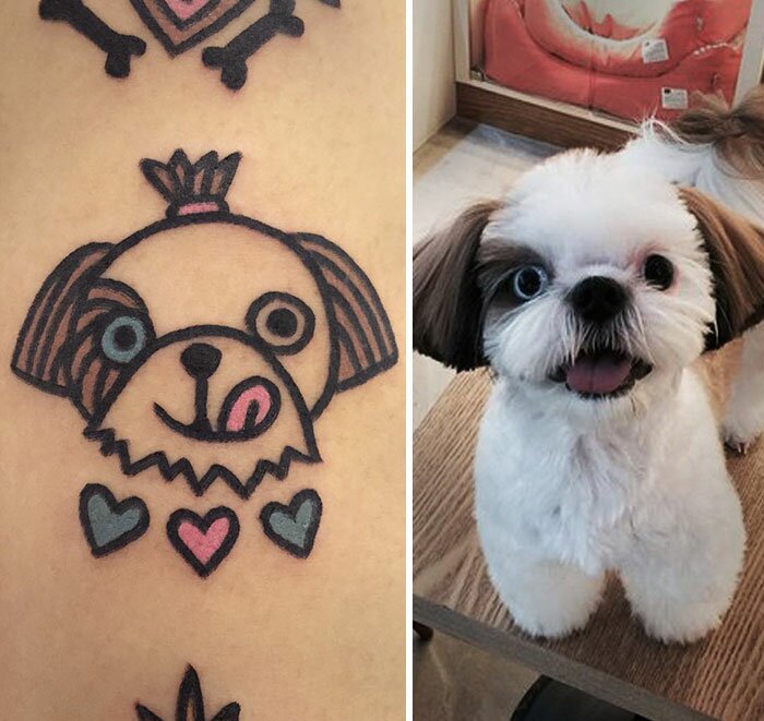 photo,tattoo,animaux,compagnie,amusant,caniche,blanc,coeur,rose,bleu