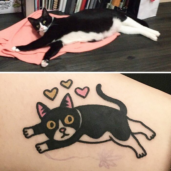 photo,tattoo,animaux,compagnie,amusant,chat,noir,blanc
