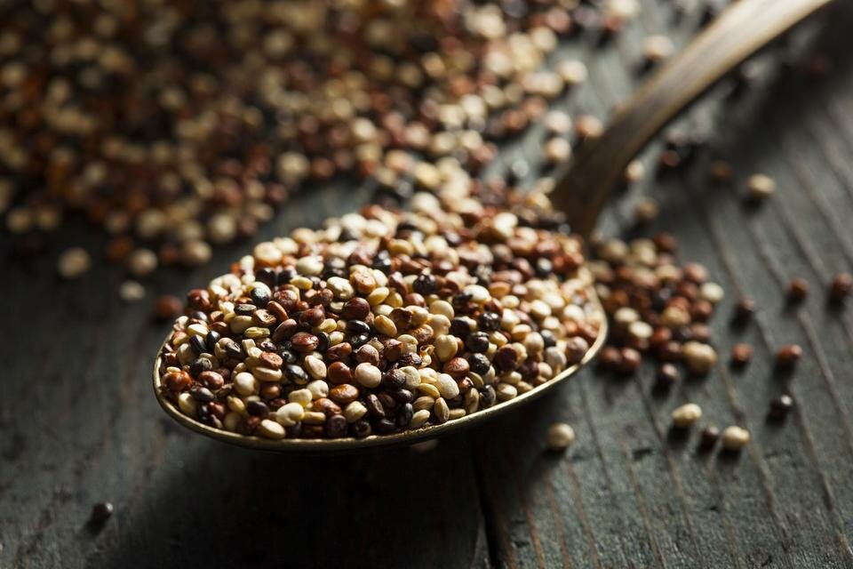 Quinoa aliments, magnesium, quinoa