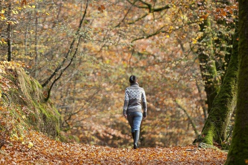 Femme faisant une balade en forêt balade, foret, seul