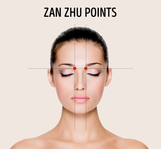 zan zhu point