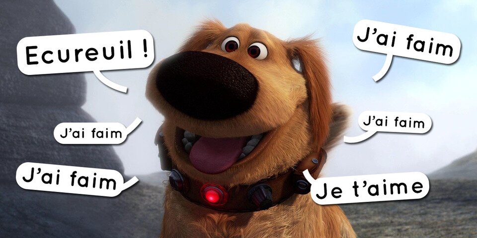 Le traducteur pour chien sera prêt d'ici une dizaine d'...