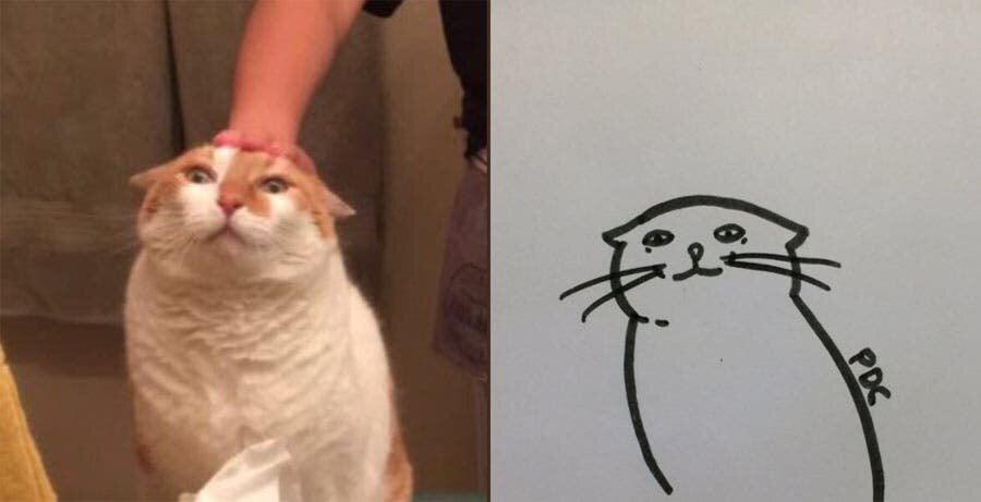 chat, dessin, simpliste