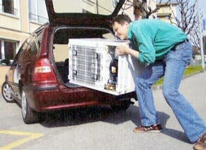 frigo, transport, coffre, couche, voiture