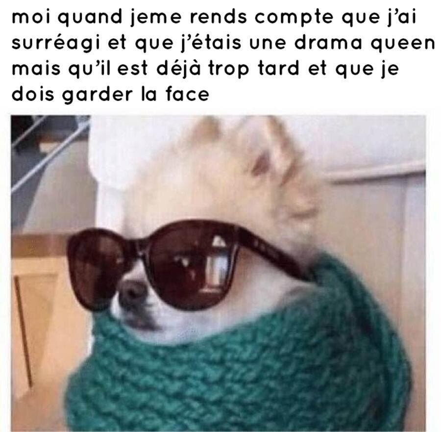 meme, drama queen, humour