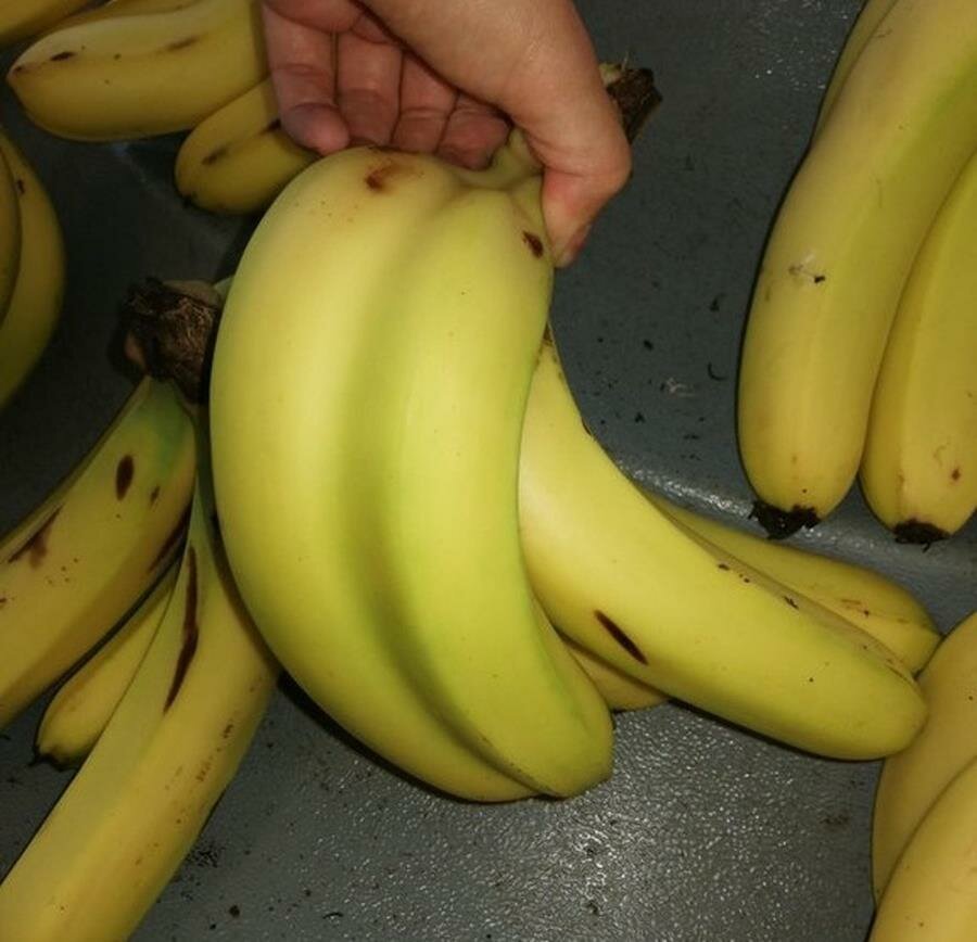 banane, double