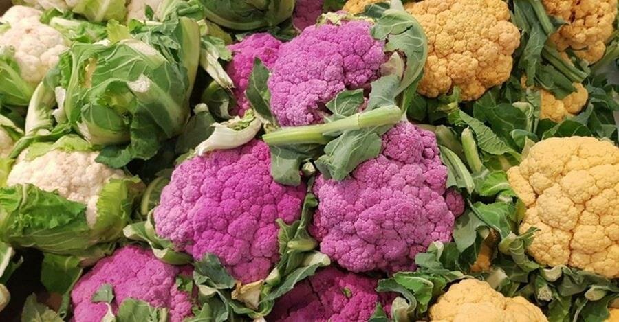 choux, roses