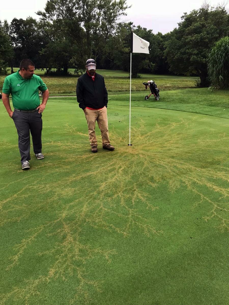 foudre, golf