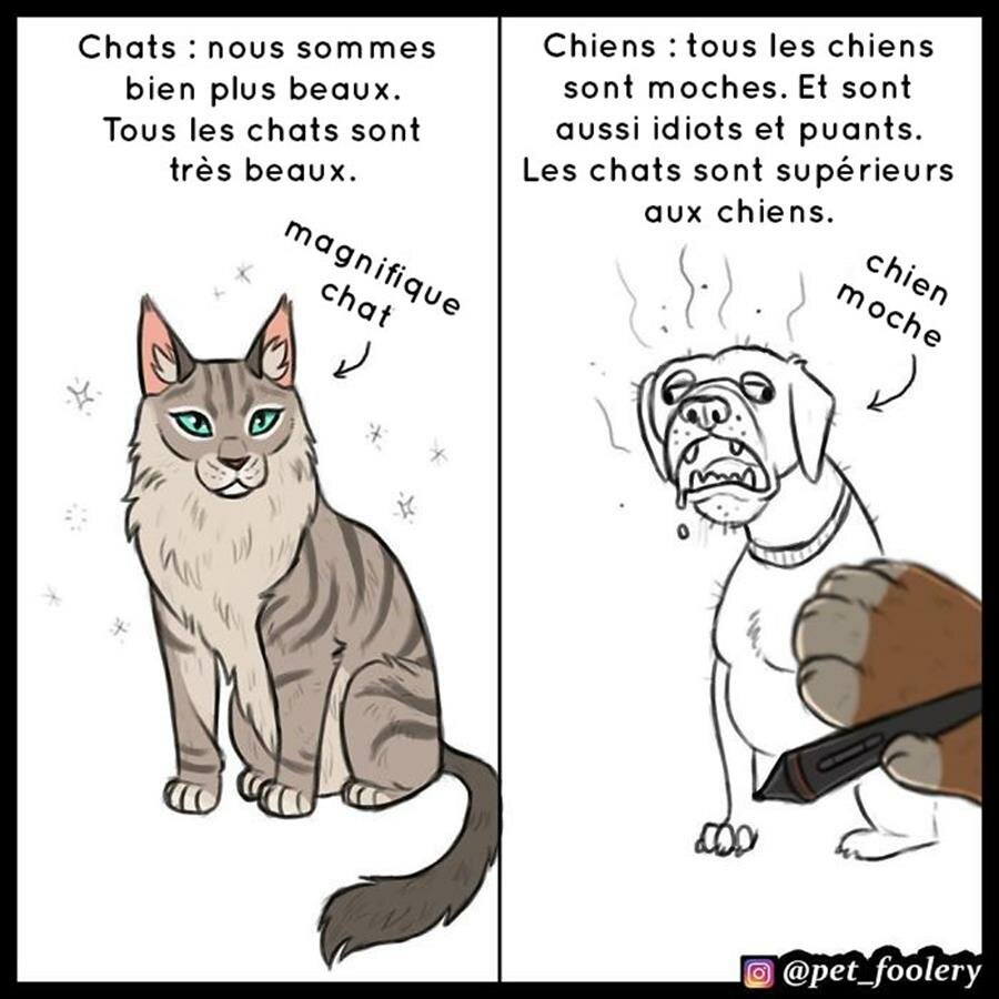 pet foolery, bd, chats, chiens, supÃ©rieurs
