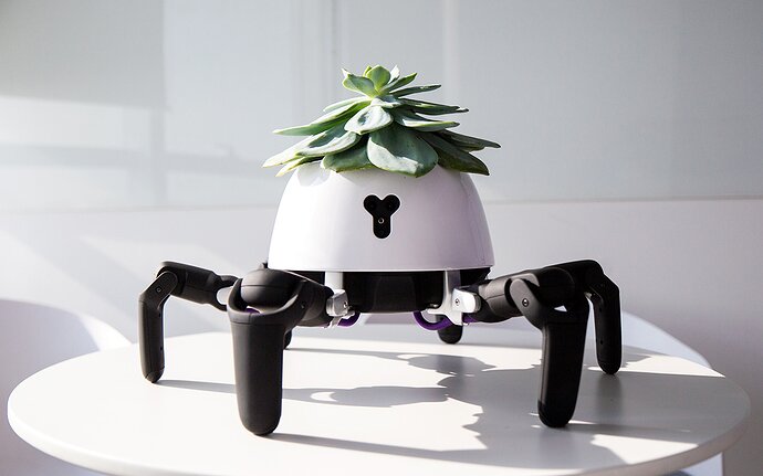 robot, araignée