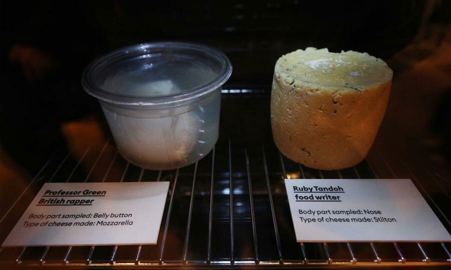 fromage, frigo