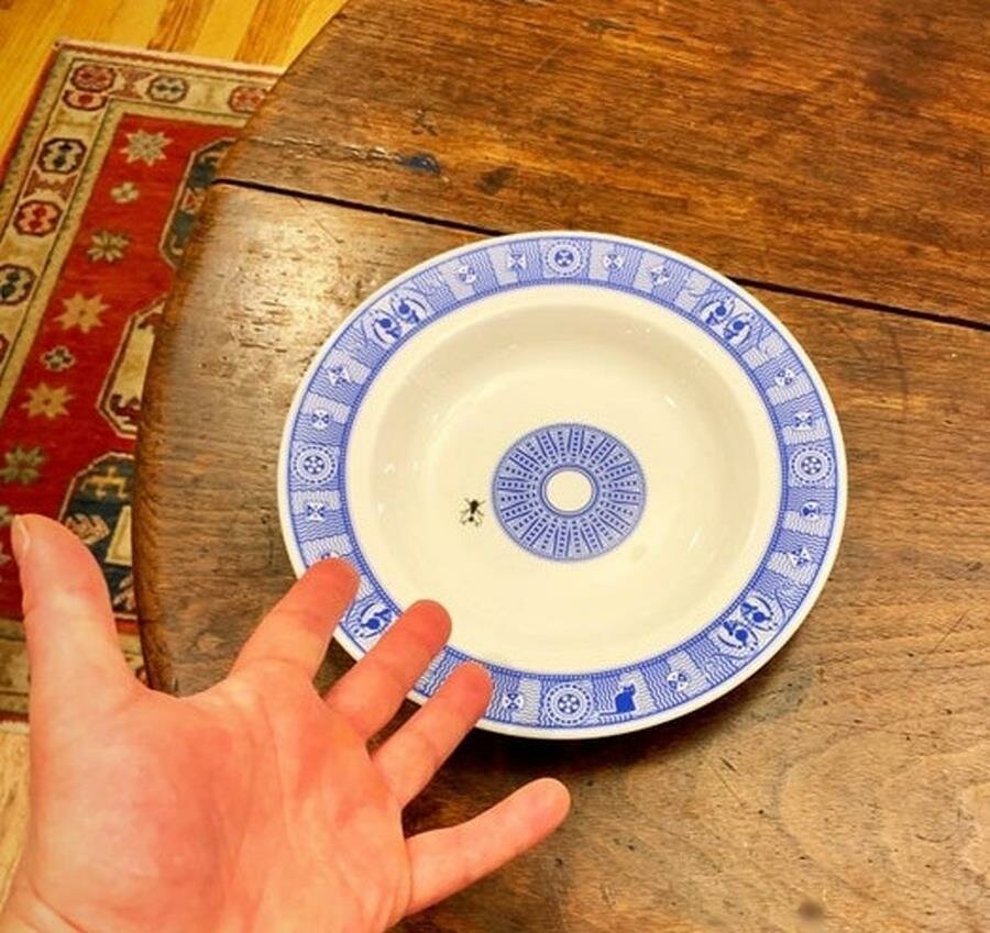 assiette, insecte, peint