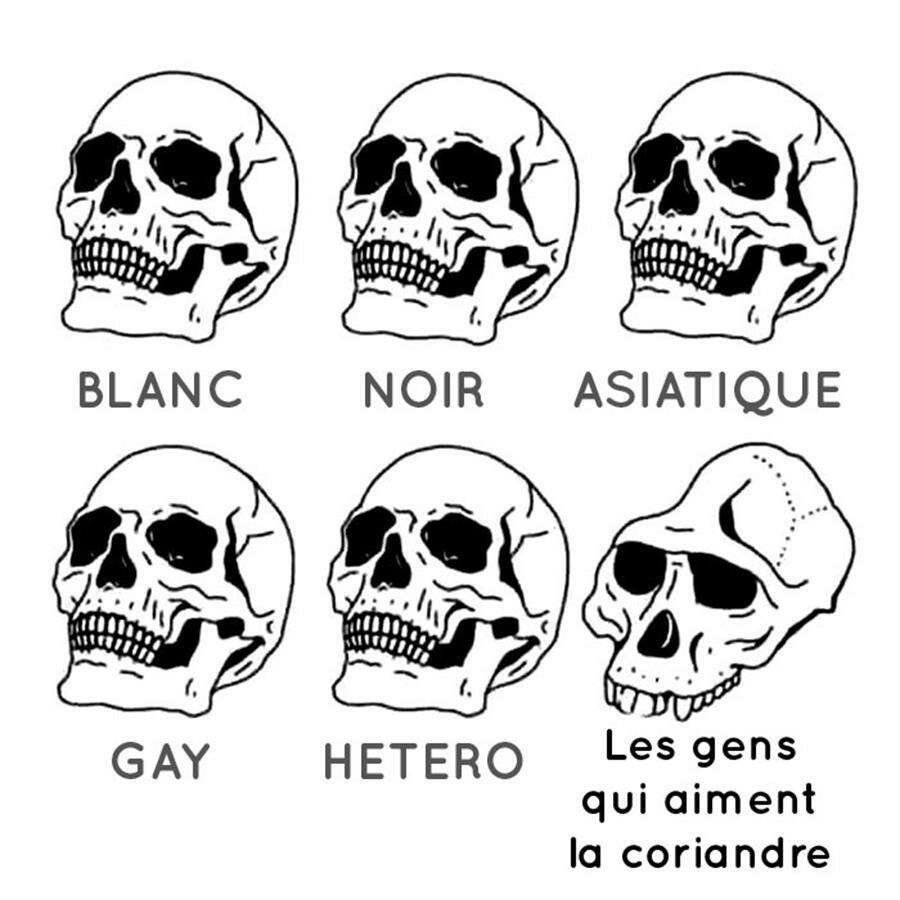 crâne, personnes