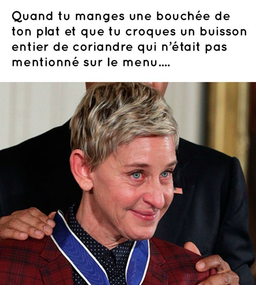 coriandre, meme