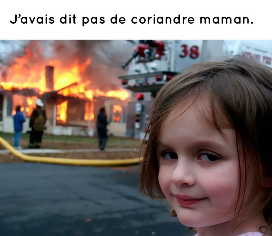 meme, coriandre