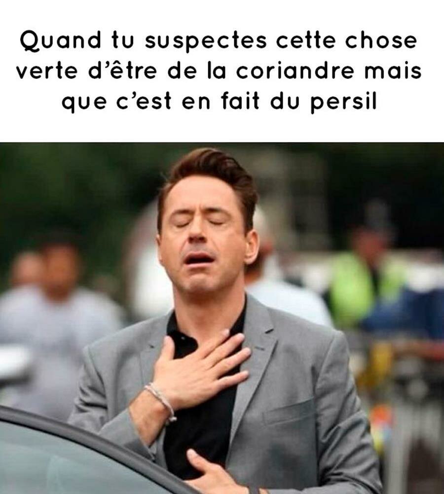 persil, coriandre, meme
