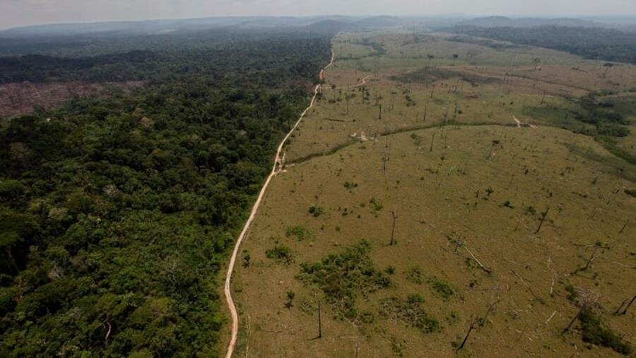 déforestation, photo, forêt amazonienne