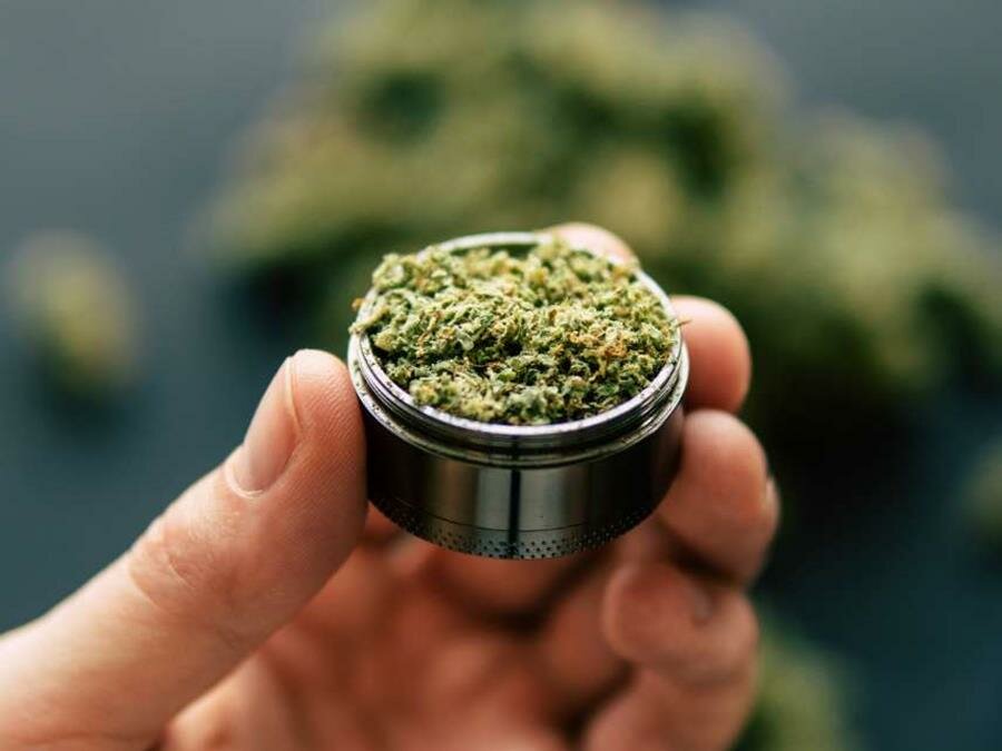 marijuana, tenir