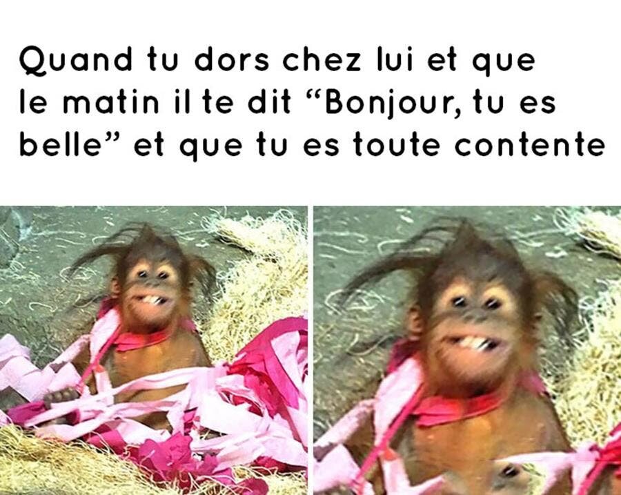 meme, amour, réveil