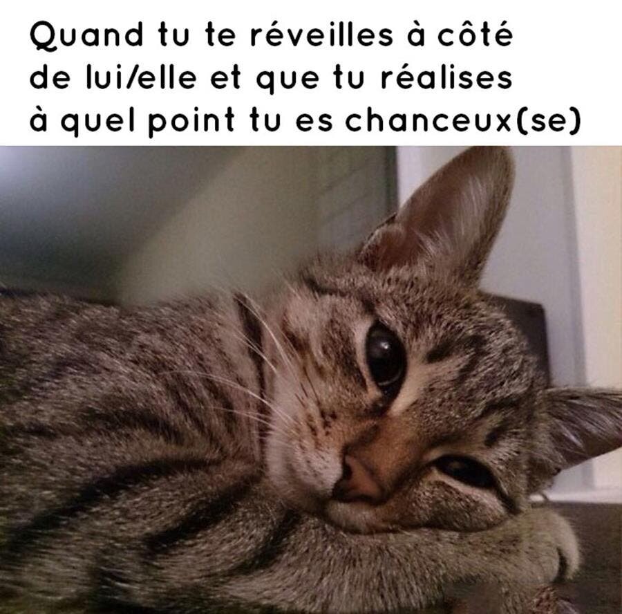 13 Memes Mignons Et Qui Font Du Bien A Envoyer A Votre Amoureux Se