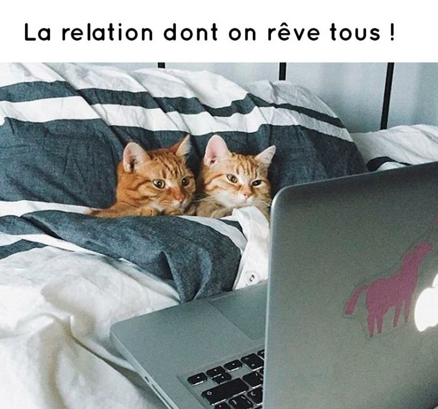 meme, amour, objectifs