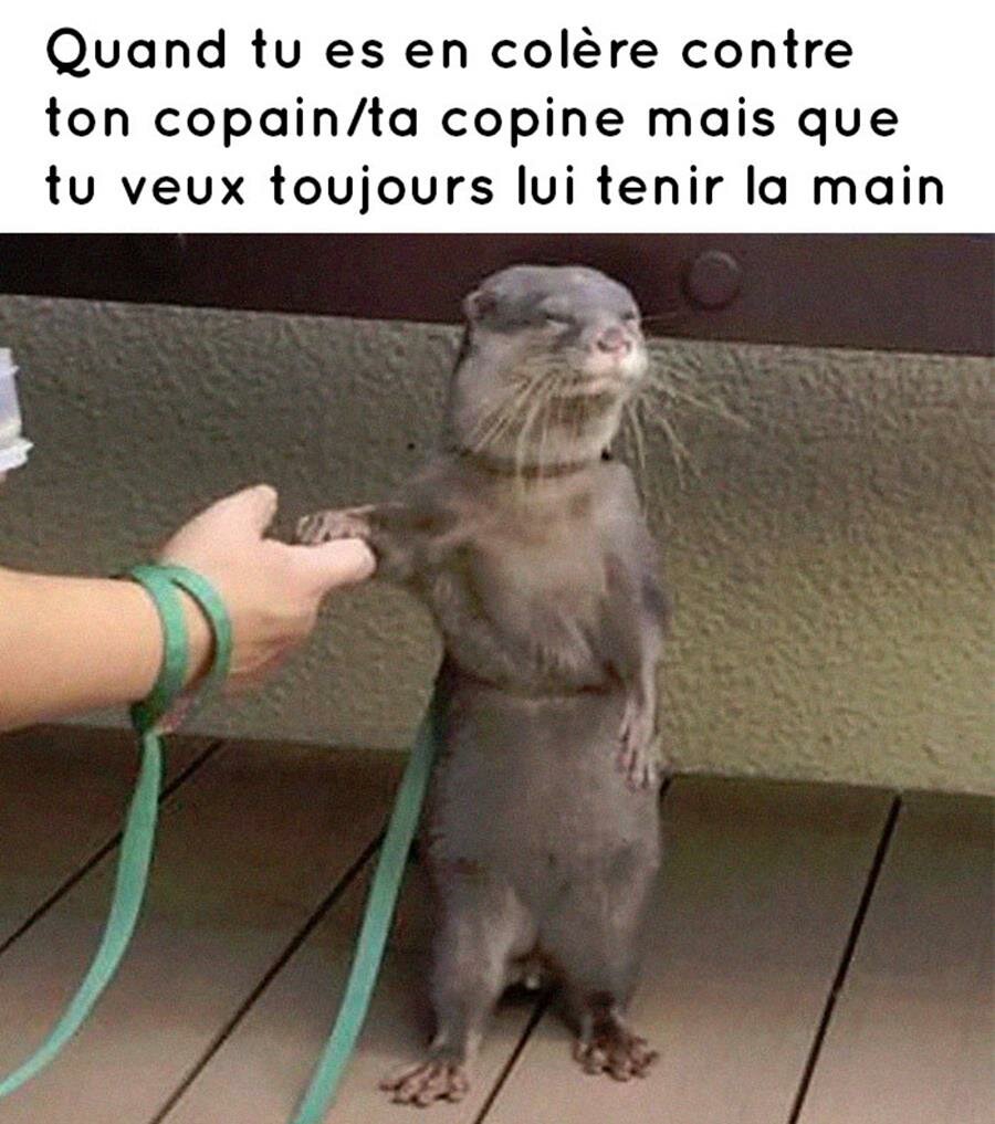 meme, amour, tenir la main
