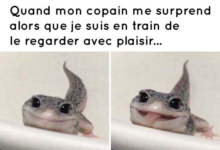 meme, amour, regarder