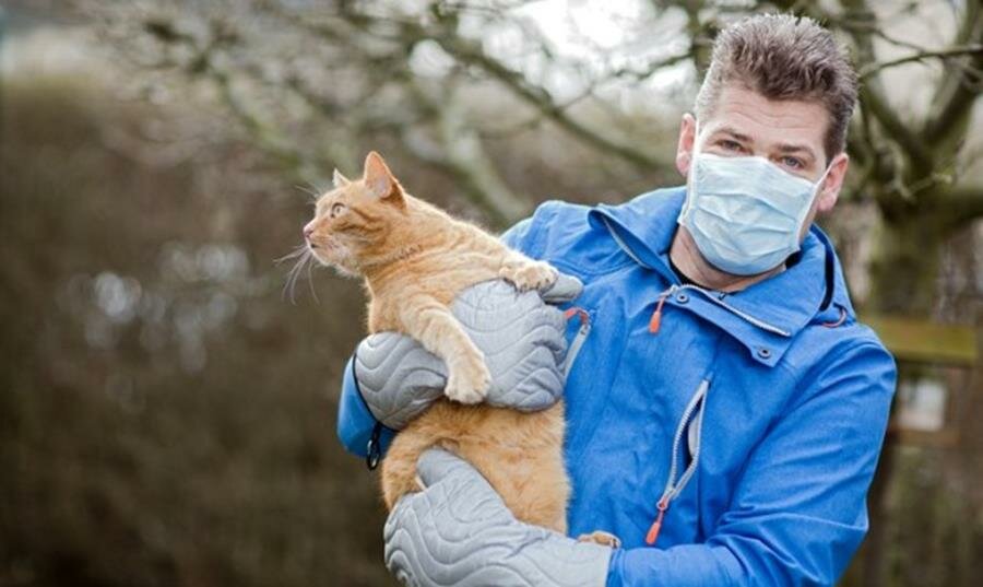homme, chat, masque à gaz