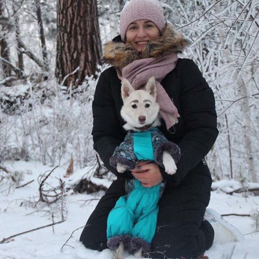 Бетти собака