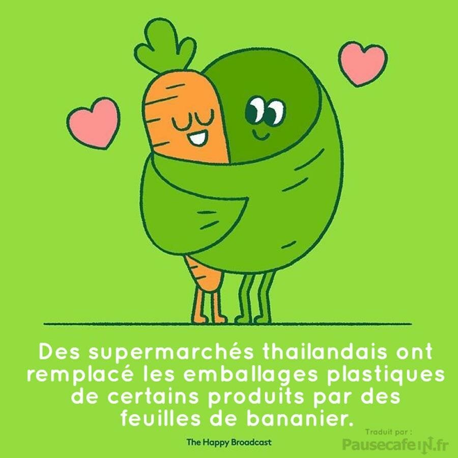 14 illustrations sur les bonnes nouvelles qui ont marqué l'année 2019