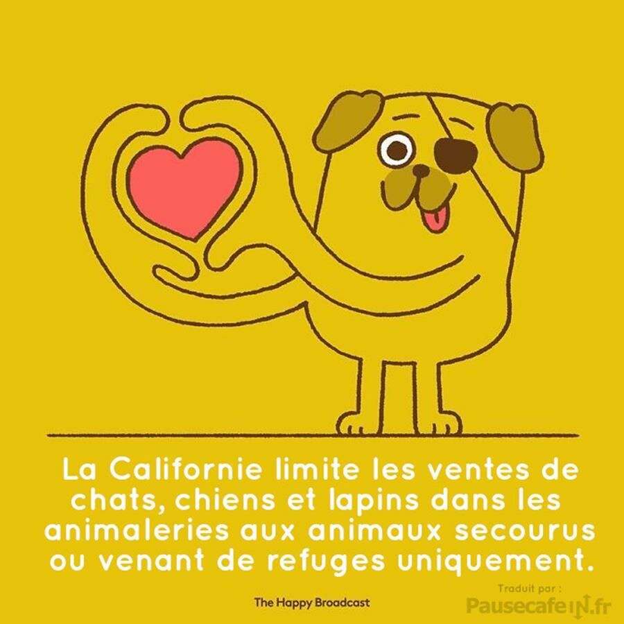 the happy broadcast, bonne nouvelle, positif