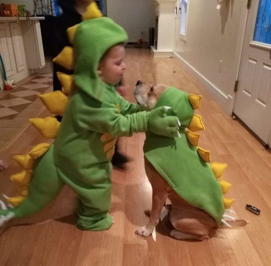 enfant, chien, dinosaure