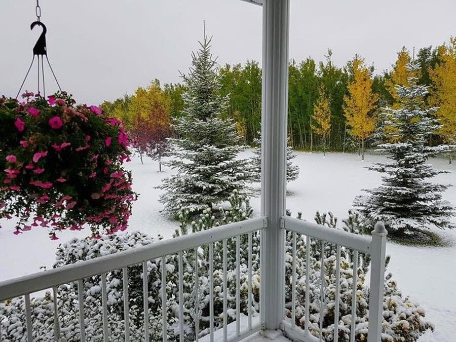 photos, saisons, canada