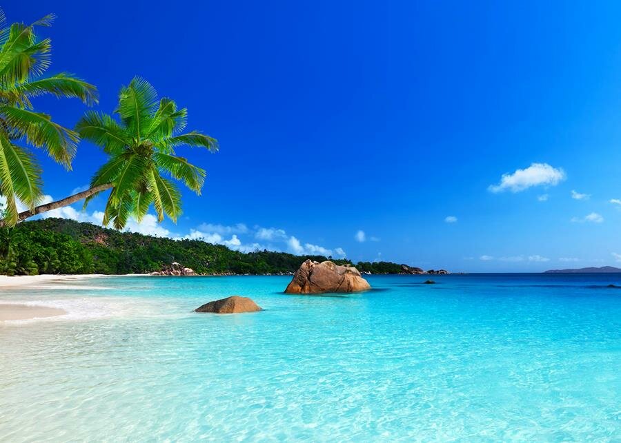 ile paradisiaque, plage
