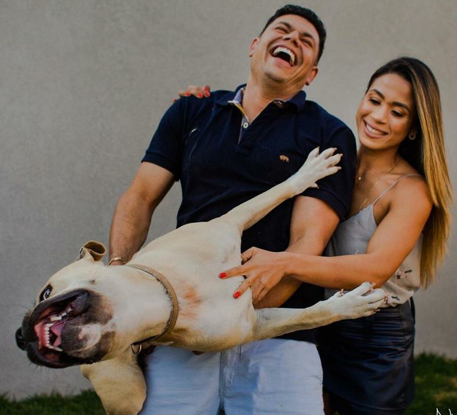 shooting, photos, couple, chien