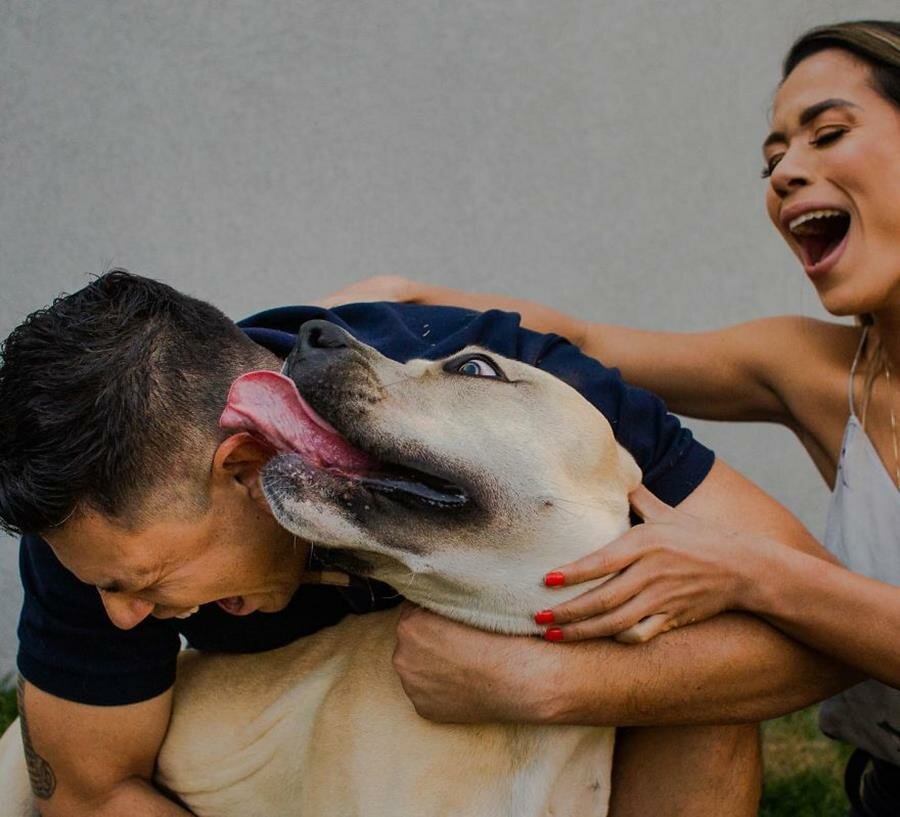 shooting, photos, couple, chien