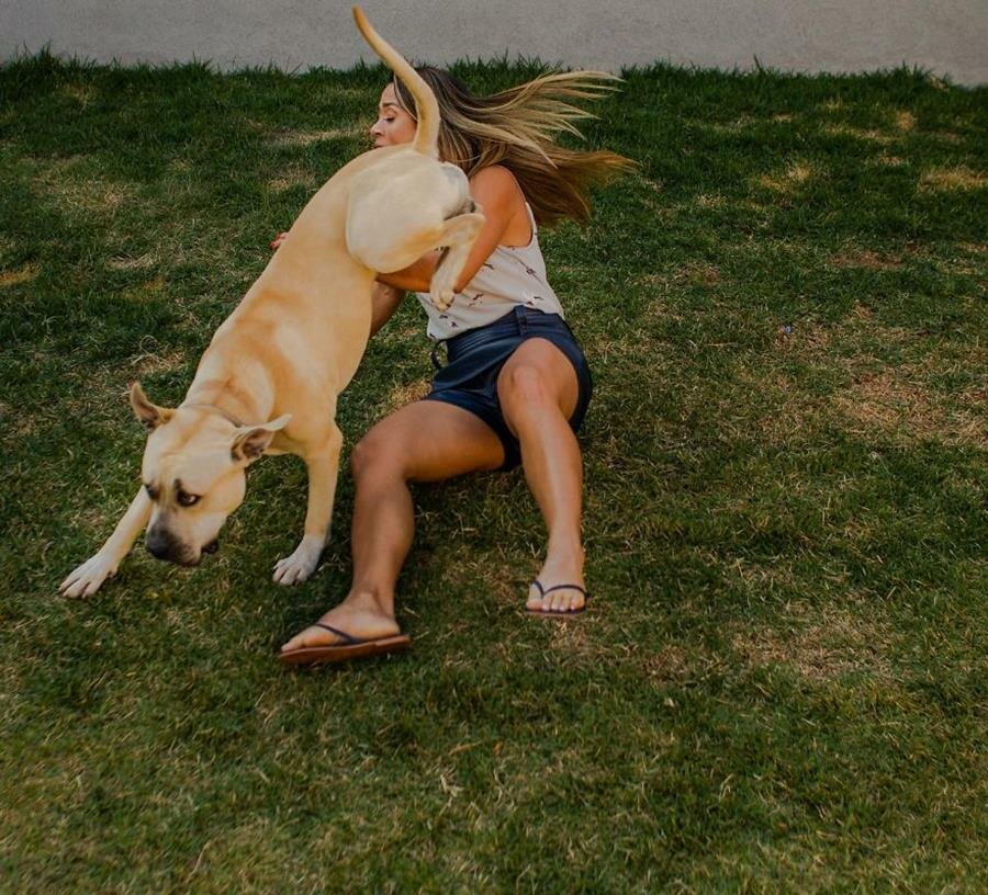 shooting, photos, couple, chien