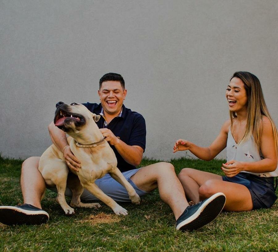 shooting, photos, couple, chien