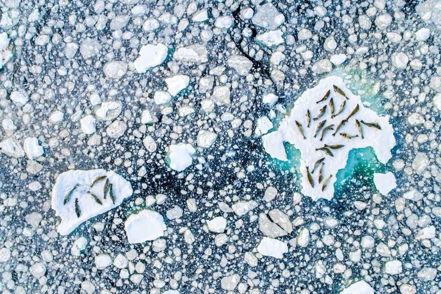 photo, agora awards 2019, agora awards, finaliste, glace