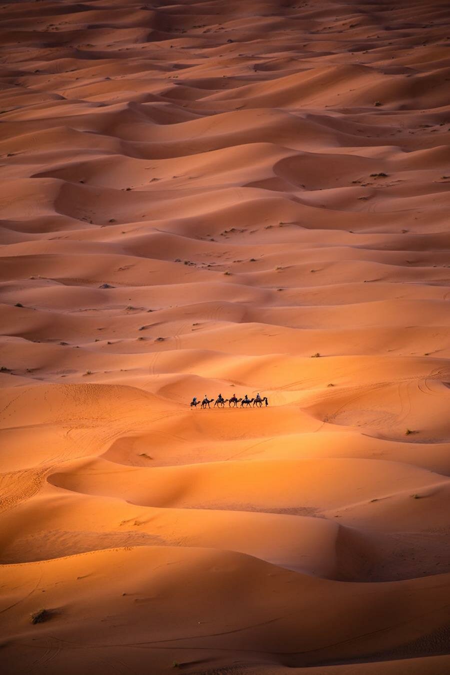 photo, finaliste, agora awards, désert
