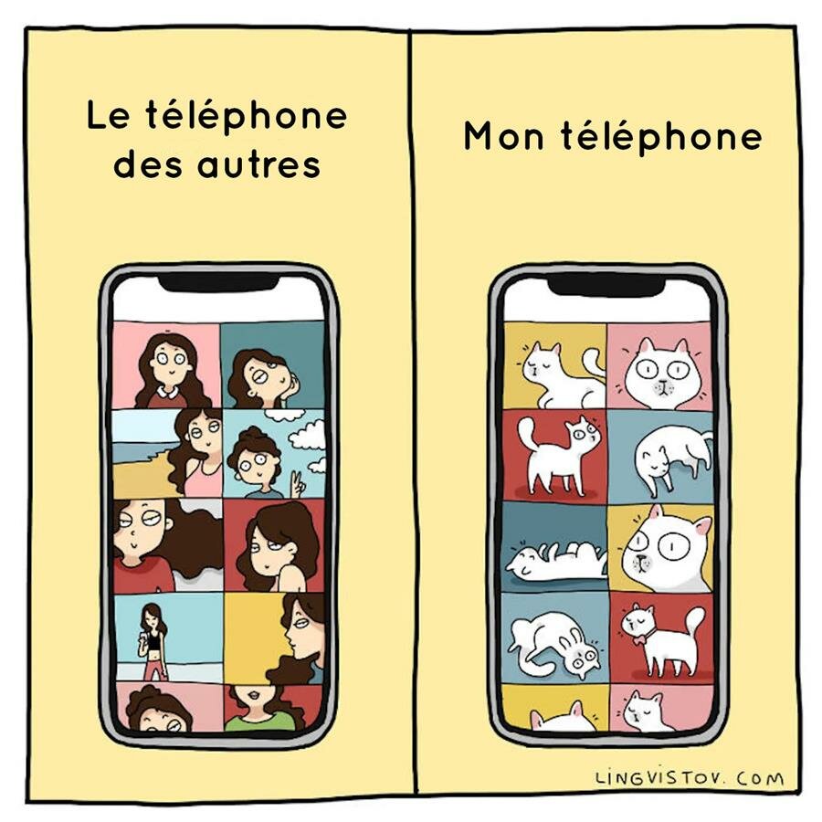 bd, chat, vie quotidienne, lingvistov