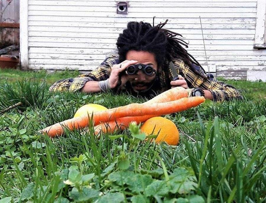 chasseur, légume, carottes