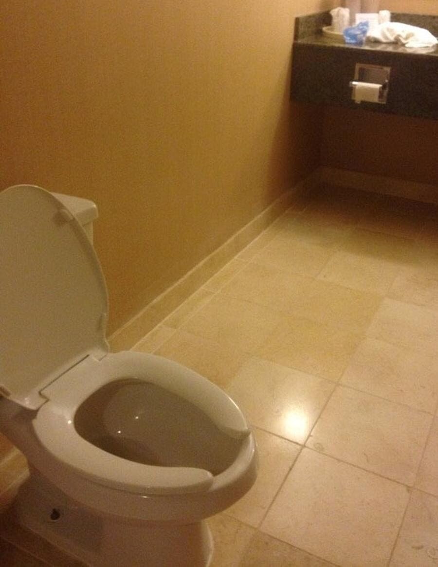 toilettes, papier
